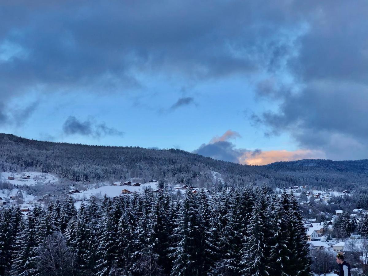 Le Bois Des Neiges Charmant Chalet Authentique A 5 Mn De Gerardmer Ксорюпт-Лонжме Экстерьер фото