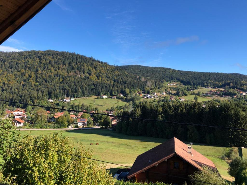 Le Bois Des Neiges Charmant Chalet Authentique A 5 Mn De Gerardmer Ксорюпт-Лонжме Экстерьер фото