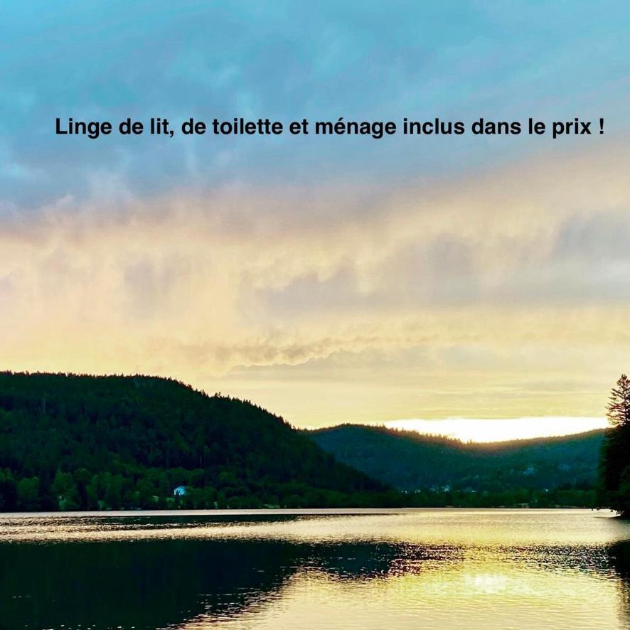 Le Bois Des Neiges Charmant Chalet Authentique A 5 Mn De Gerardmer Ксорюпт-Лонжме Экстерьер фото