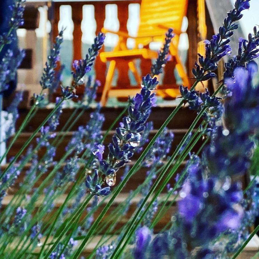 Le Bois Des Neiges Charmant Chalet Authentique A 5 Mn De Gerardmer Ксорюпт-Лонжме Экстерьер фото